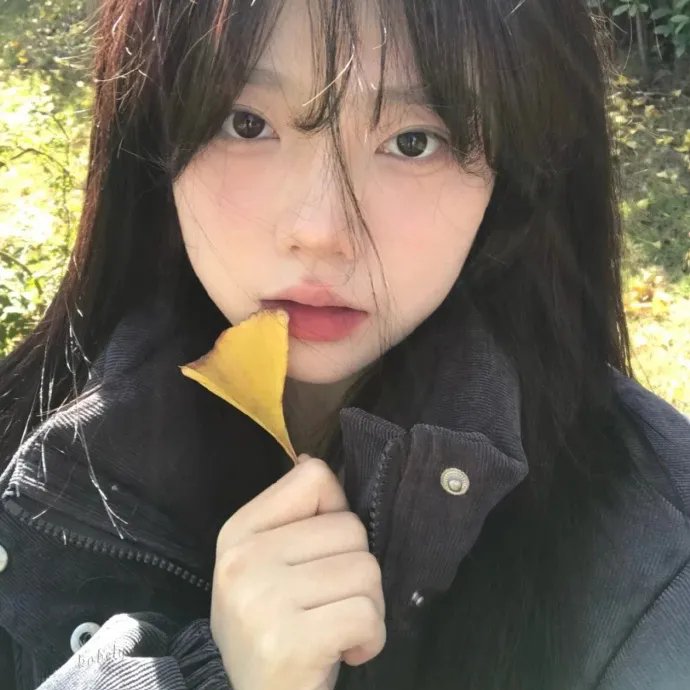 沉月