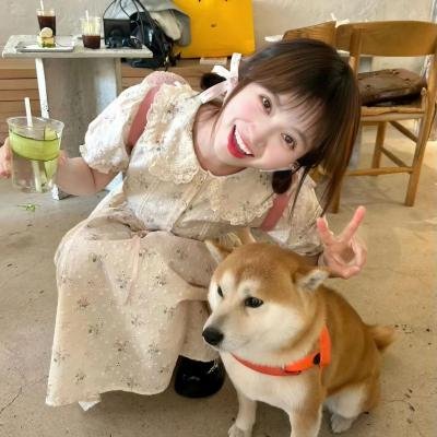 无法抗拒的男友们