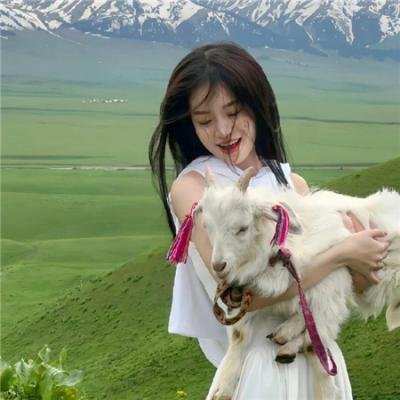 孤雏泪